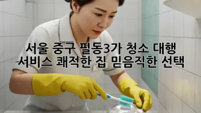 서울 중구 필동3가 청소 대행 서비스: 쾌적한 집, 믿음직한 선택