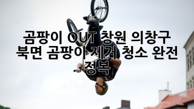 😱 곰팡이 OUT! 창원 의창구 북면 곰팡이 제거 청소 완전 정복 🏡✨