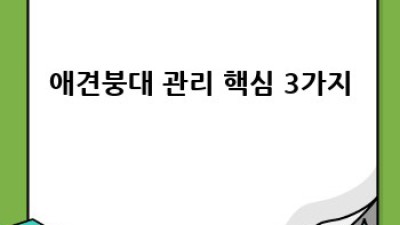 우리 강아지, 붕대 관리 똑똑하게 하기: 애견붕대 완벽 가이드